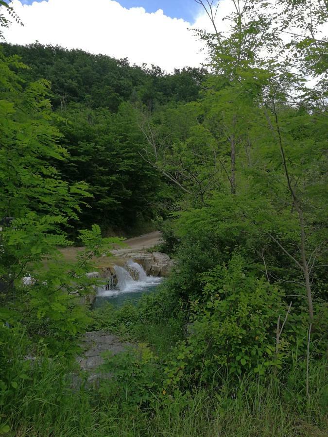 Eco Camp Supot Otel Šmarje Dış mekan fotoğraf