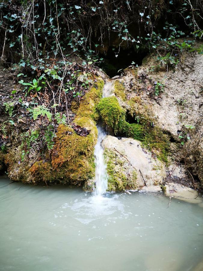 Eco Camp Supot Otel Šmarje Dış mekan fotoğraf